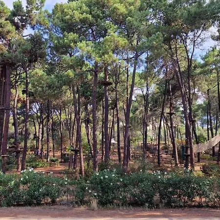 Sunny In Elviria